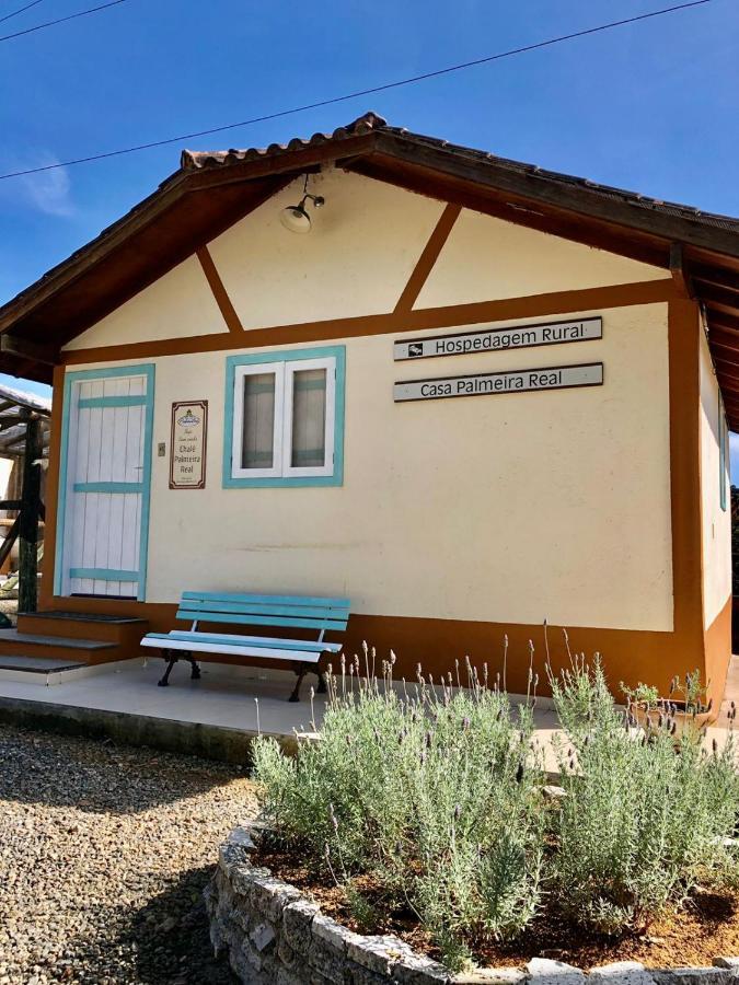 Sitio Dos Palmitos - Chale Palmeira Real دومينغوس مارتينز المظهر الخارجي الصورة